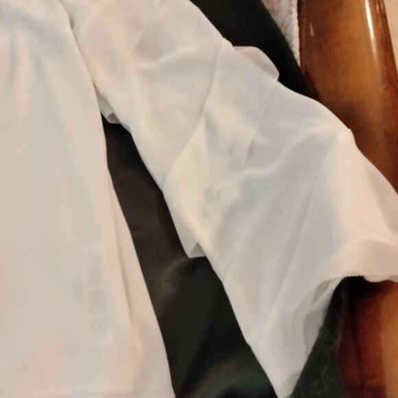 Ivory sheer, lined blouse. Size 16. - Picture 4 of 6